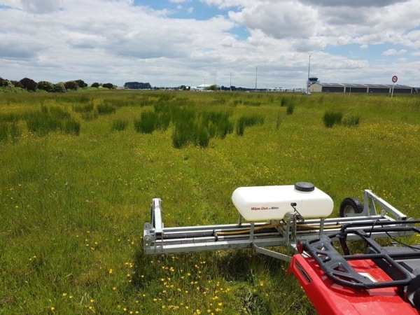 Redback 8ft Weedwiper in Tussock (before applying weed killer)